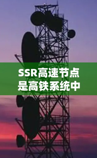 SSR高速节点是高铁系统中用于列车间的快速移动和货物运输的关键设备。它整合了先进的动力系统、通信系统、控制系统和货物运输系统，以提高列车运行效率和安全性。以下是针对SSR高速节点的详细介绍