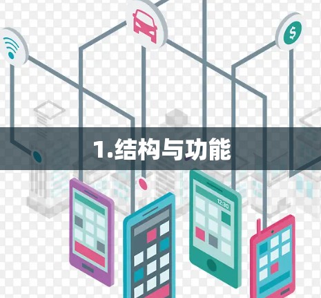 1.结构与功能