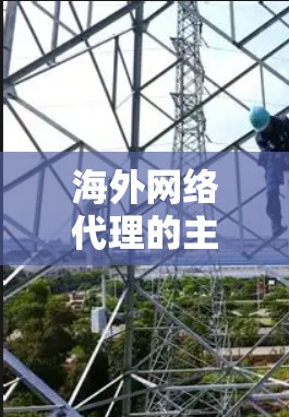 海外网络代理的主要作用 海外网络代理的主要作用