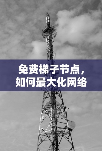 免费梯子节点，如何最大化网络效率与成本优化