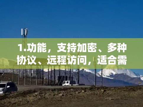 1.功能，支持加密、多种协议、远程访问，适合需要高安全性和隐私保护的用户