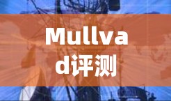Mullvad评测