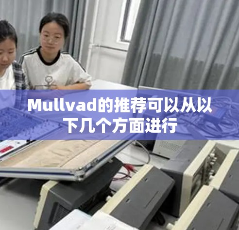 Mullvad的推荐可以从以下几个方面进行