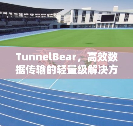 TunnelBear，高效数据传输的轻量级解决方案