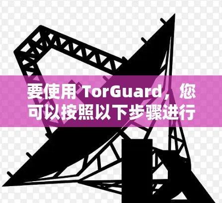 要使用 TorGuard，您可以按照以下步骤进行操作