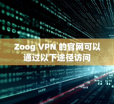 Zoog VPN 的官网可以通过以下途径访问