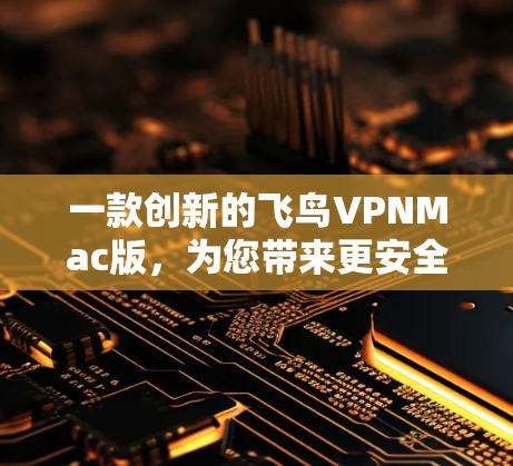 一款创新的飞鸟VPNMac版，为您带来更安全、更便捷的数据保护解决方案