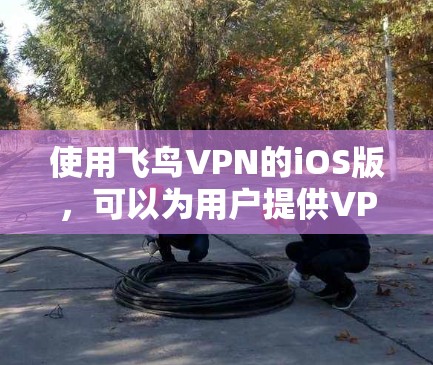 使用飞鸟VPN的iOS版，可以为用户提供VPN服务，帮助他们访问远程服务器或网络服务。以下是详细的步骤指南