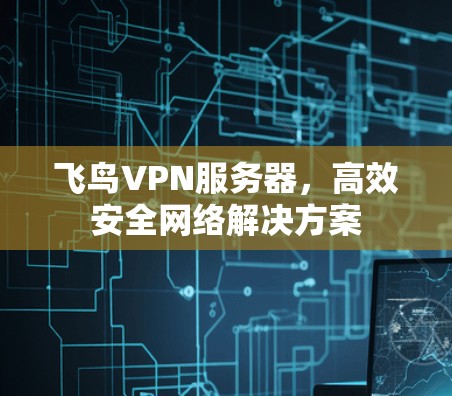 飞鸟VPN服务器,高效安全网络解决方案 飞鸟VPN服务器,高效安全网络解决方案