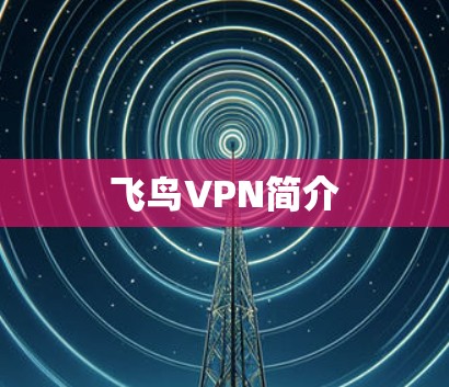 飞鸟VPN简介 飞鸟VPN简介