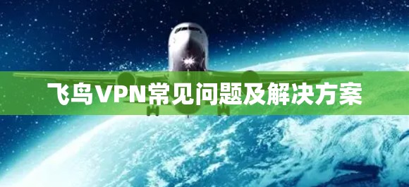 飞鸟VPN常见问题及解决方案