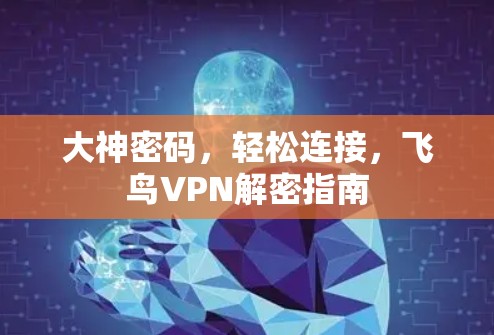 大神密码,轻松连接,飞鸟VPN解密指南 大神密码,轻松连接,飞鸟VPN解密指南