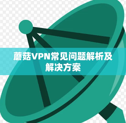 蘑菇VPN常见问题解析及解决方案