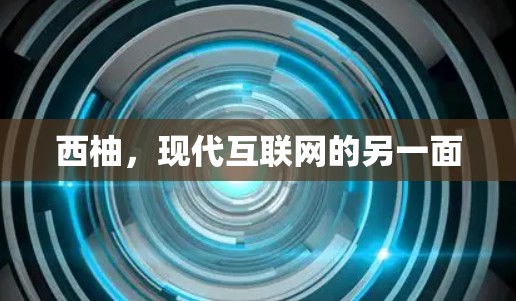 西柚，现代互联网的另一面