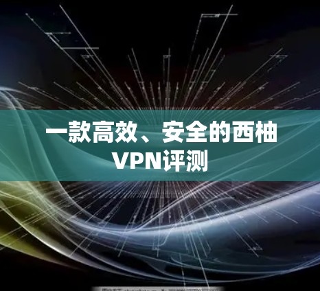 一款高效、安全的西柚VPN评测 一款高效、安全的西柚VPN评测