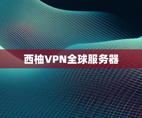 西柚VPN全球服务器
