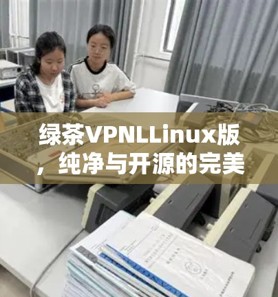 绿茶VPNLLinux版，纯净与开源的完美结合