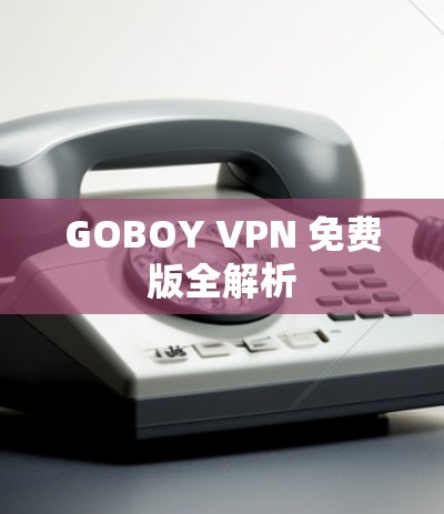 GOBOY VPN 免费版全解析