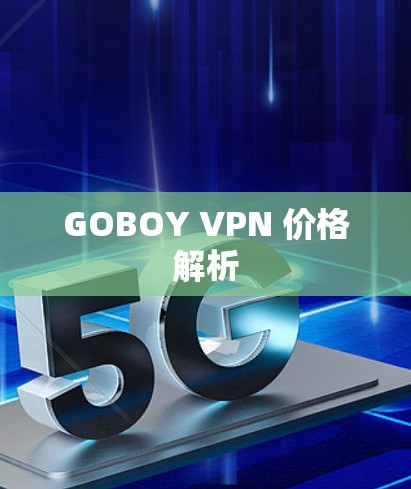 GOBOY VPN 价格解析