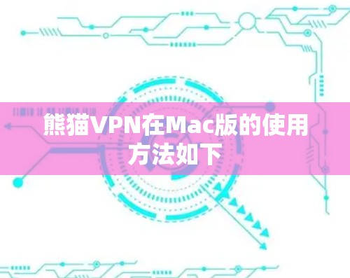 熊猫VPN在Mac版的使用方法如下