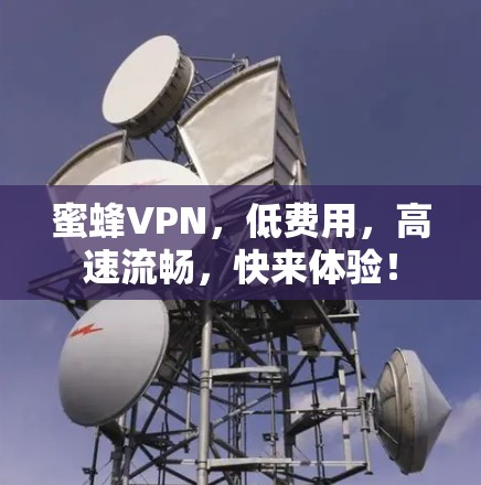 蜜蜂VPN，低费用，高速流畅，快来体验！