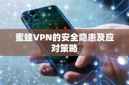 蜜蜂VPN的安全隐患及应对策略