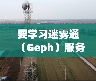 要学习迷雾通（Geph）服务器，可以按照以下步骤进行
