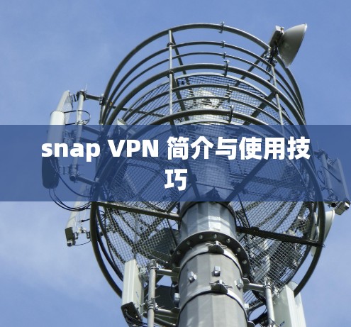 snap VPN 简介与使用技巧