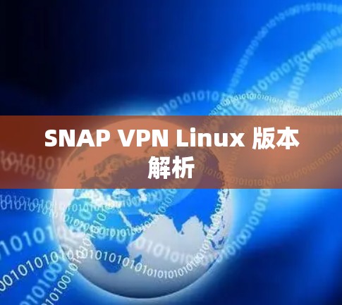 SNAP VPN Linux 版本解析