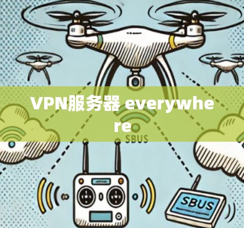 VPN服务器 everywhere