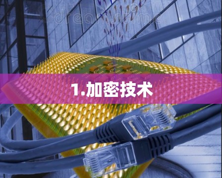 1.加密技术