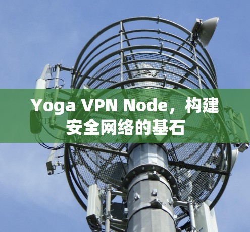 Yoga VPN Node，构建安全网络的基石