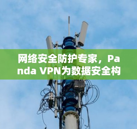 网络安全防护专家，Panda VPN为数据安全构建防线