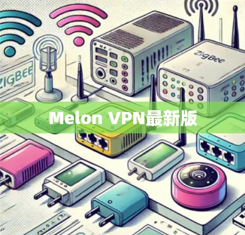 Melon VPN最新版