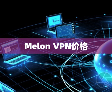 Melon VPN价格