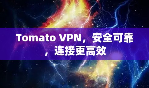 Tomato VPN，安全可靠，连接更高效