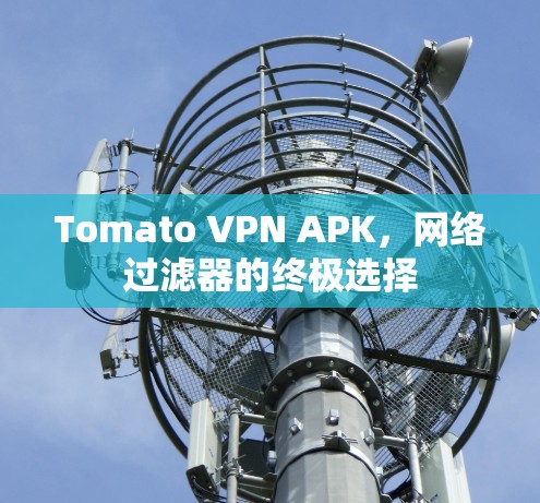 Tomato VPN APK，网络过滤器的终极选择