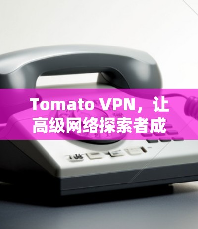 Tomato VPN，让高级网络探索者成为你的伙伴