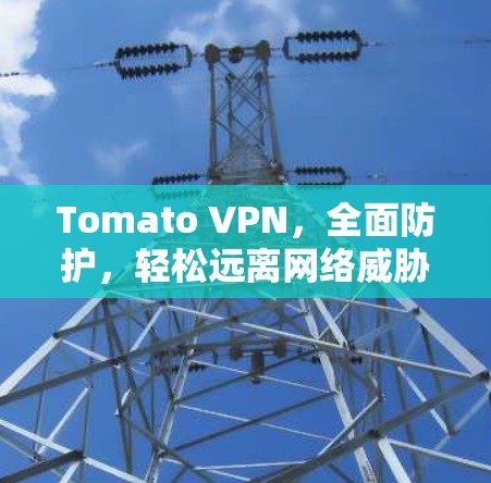 Tomato VPN，全面防护，轻松远离网络威胁