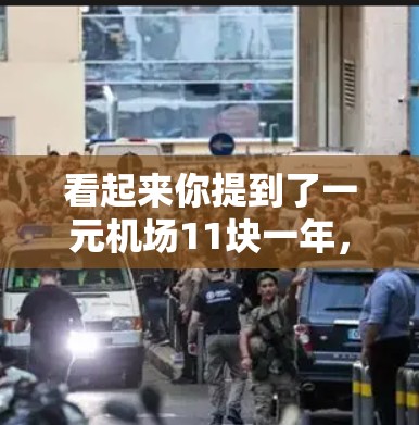 看起来你提到了一元机场11块一年，这可能是指机场的一元 tickets价格是11块一年，也就是每年11块。那么，平均每天的价格就是11块除以365天，大约是3.1元每天