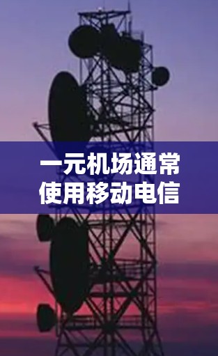 一元机场通常使用移动电信卡，特别是3G或4G版本的电信卡。这些电信卡通常具有快速支付功能，可以在机场快速完成费用。以下是一些关于一元机场和电信卡的要点