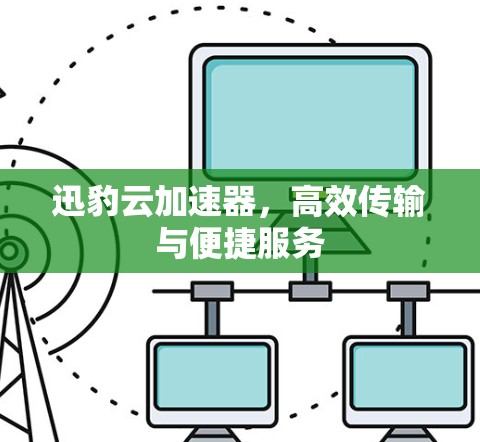 迅豹云加速器，高效传输与便捷服务