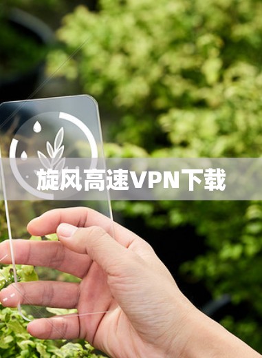 旋风高速VPN下载