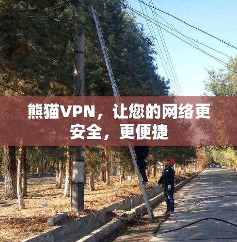 熊猫VPN，让您的网络更安全，更便捷