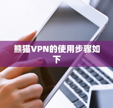 熊猫VPN的使用步骤如下