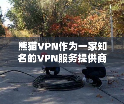 熊猫VPN作为一家知名的VPN服务提供商，提供多样化的VPN体验。以下是使用其官方下载步骤的详细指南