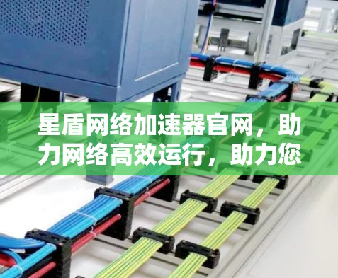 星盾网络加速器官网，助力网络高效运行，助力您的未来！