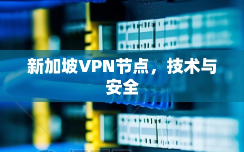 新加坡VPN节点,技术与安全 新加坡VPN节点,技术与安全