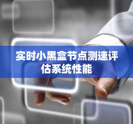 实时小黑盒节点测速评估系统性能