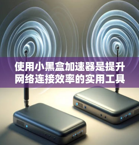 使用小黑盒加速器是提升网络连接效率的实用工具，以下是详细的使用步骤